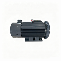 Moteur à aimant permanent à faible vitesse et couple élevé 5,5 kW 7,5 kW 11 kW 15 kW 6 pôles 8 pôles à entraînement direct pour convoyeur à bande et élévateur