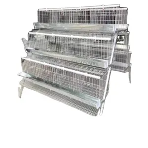 Most popular 4 tier chicken layer battery cage for poultry farm