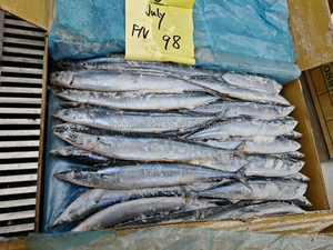 Bajo Precio, Saury del Pacífico Congelado, Macarela, Lucio, Pescado Fresco Congelado Directo de Fábrica, Mercados de <span class=keywords><strong>Mariscos</strong></span>, Distribuidores, Listo para Enviar - Product Image 3