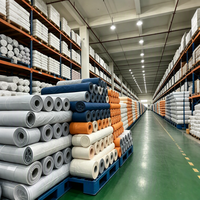 Tissu satiné 100% polyester tissé brossé 75D, poids moyen, largeur 116 pouces, anti-déchirure, anti-boulochage, résistant à l'abrasion, gaufré, pour la maison et les garçons
