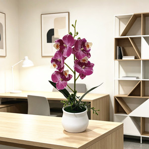 Orchidée Phalaenopsis Paulon en pot, 29 cm de haut, fleur artificielle, décoration de bureau - Product Image 3