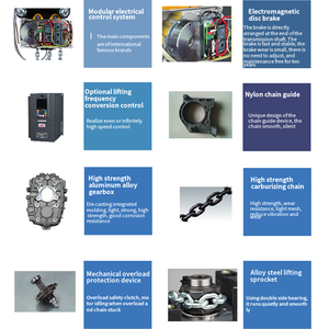 <span class=keywords><strong>Polipasto</strong></span> de escenario de poco ruido OEM TBM, con 1 Freno de CC, diseñado para uso en escenario - Product Image 5