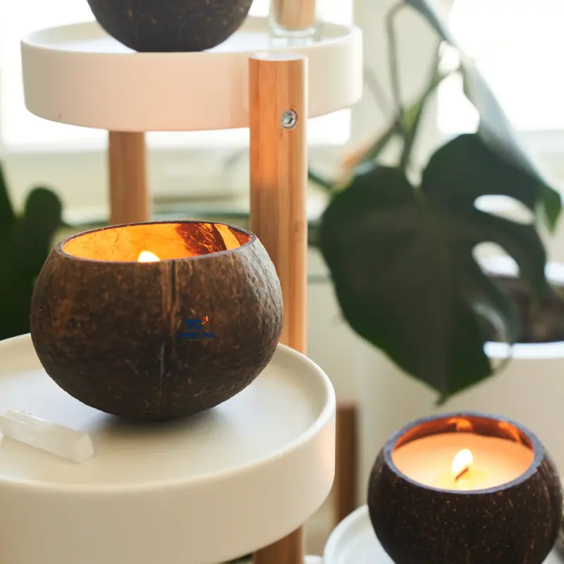 Ciotole di cocco fatte a mano naturali candele di conchiglia candele profumate al cocco decorazioni stoppino in legno