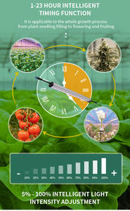 <span class=keywords><strong>Lampe</strong></span> végétale professionnelle Cob IP65 Tube <span class=keywords><strong>de</strong></span> lumière <span class=keywords><strong>de</strong></span> remplissage à économie d'énergie spectre complet élèvent la lumière pour les légumes <span class=keywords><strong>de</strong></span> <span class=keywords><strong>Culture</strong></span> <span class=keywords><strong>de</strong></span> tissus <span class=keywords><strong>de</strong></span> <span class=keywords><strong>semis</strong></span> - Product Image 4