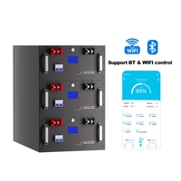 Batterie LiFePO4 en rack 51,2 V 300 Ah 15,36 kWh pour stockage solaire avec BMS RS485/CAN Bluetooth WiFi, crête 10 kW, 6000+ cycles, IP54