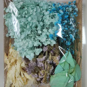 Paquete de Material preservadas de flores secas naturales de alta calidad YZX, Mini mezcla de plantas preservadas secas, flores para hacer manualidades Diy