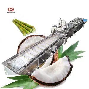 Máquina de lavado de carne de coco, pulverizador de limpieza de caña de azúcar, procesamiento de verduras y frutas