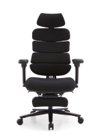 Chaise de bureau ergonomique avec dossier segmenté, inclinaison électrique, repose-pieds rétractable, idéale pour le bureau à domicile, Liberno