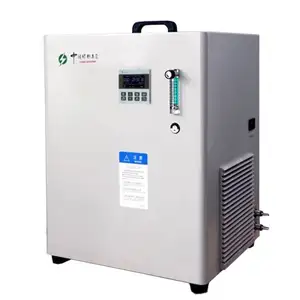 Generador eléctrico industrial del ozono 50g para el generador del ozono del tratamiento del sistema de agua de la piscina