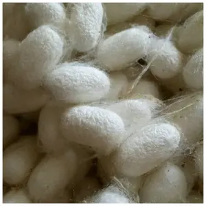 Hilo de seda hilado de morera thrown mulberry raw silk 20-22d 4a grade yarn price Bleached or Dyed for carpet weaving