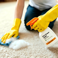 Spray Nettoyant Textile Multi-Usages Personnalisé – Agent Détachant Puissant pour Vêtements, Tapis et Canapés Tapissés – Vente en Gros