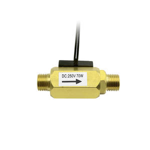 Interruptor de Flujo Magnético de Latón de 2 Puntos con Interruptor de Lengüeta, Interruptor de Flujo de Líquido Anti-Secado para Medios Acuosos, Señal de Conmutación - Product Image 3