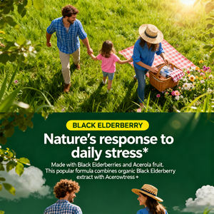 Cápsulas de Extrato de Sabugueiro Preto Personalizadas com Serviço OEM de Alta Qualidade e Marca Própria Disponíveis - Product Image 3