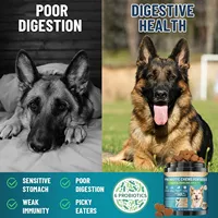 Tablet Kunyah Probiotik Felyon untuk Anjing - Vitamin D3/E Tinggi Protein, Mendukung Kesehatan Usus & Imunitas, Semua Ras & Usia