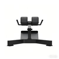 Banc d'entraînement de fitness commercial de haute qualité série de chaises chaises romaines en métal équipement de gymnastique essentiel directement fourni par l'usine