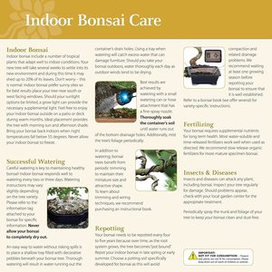 <span class=keywords><strong>Kit</strong></span> de Bonsái para Principiantes con Maceta de Plástico y Mini Herramientas, Regalo Perfecto para Amantes de la Jardinería - Product Image 6