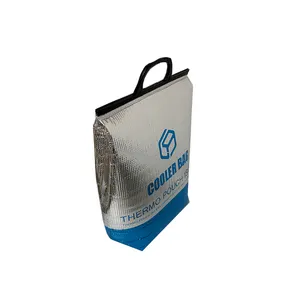 En iyi fiyat termal yalıtımlı kullanımlık soğutucu çanta yalıtımlı sıcak ve soğuk yalıtımlı çanta soğutucu çanta çin tedarikçisi