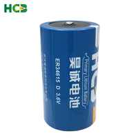 Batterie au lithium primaire HCB ER34615 3,6 V taille D haute capacité 19000 mAh pour compteurs d'eau/gaz/de débit intelligents et télécommandes