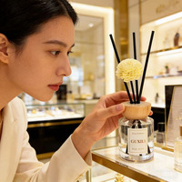 Diffuseur de parfum de luxe, diffuseur d'arômes longue durée pour la maison, l'hôtel, la chambre, la salle de bain, le bureau, logo personnalisé disponible