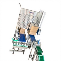 Ligne d'emballage automatique pour aliments pour animaux de compagnie, machine d'emballage VFFS, ligne d'emballage en carton, ligne de palettisation