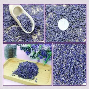 Lavender Wholesale Dried Flower Lavender Herb Tea Dry Lavender Bulk Bag Lavender Flower Tea