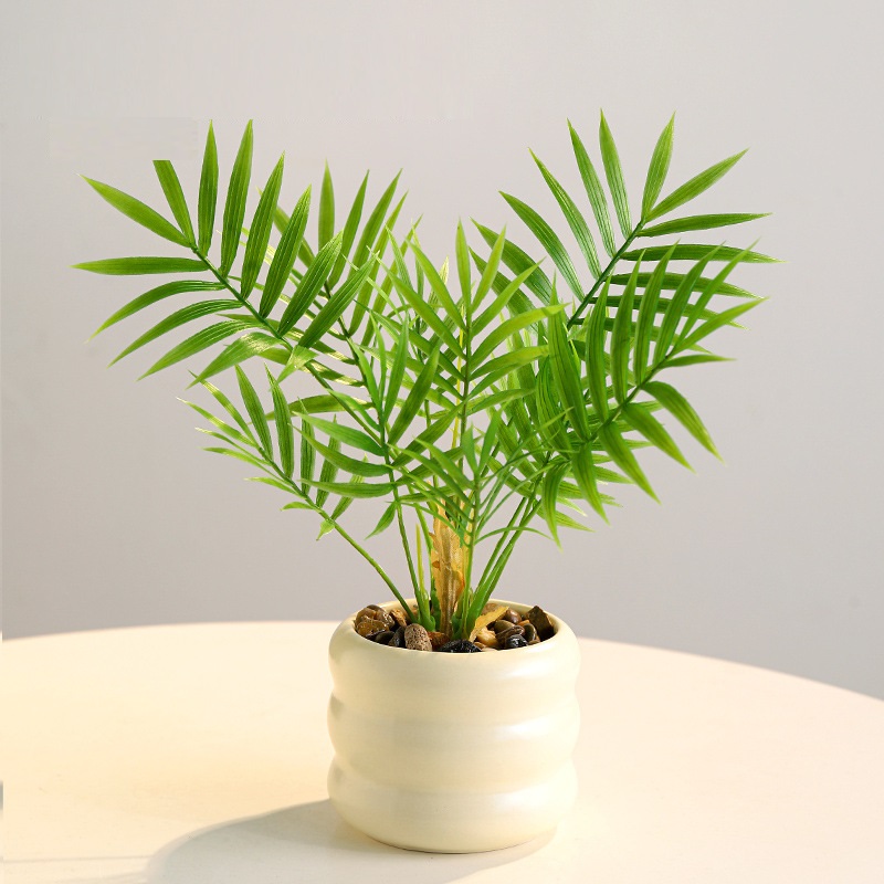 #7 vert (palmier Areca)