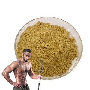 Hongda Hot Bán <span class=keywords><strong>Tongkat</strong></span> <span class=keywords><strong>Ali</strong></span> viên nang tinh khiết tự nhiên Eurycoma longifolia <span class=keywords><strong>Tongkat</strong></span> <span class=keywords><strong>Ali</strong></span> chiết xuất <span class=keywords><strong>Tongkat</strong></span> <span class=keywords><strong>Ali</strong></span> bột - Product Image 1