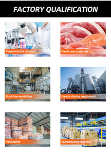 מזון לחיות מחמד חלבון גבוה לחתולים ולכלבים בהקפאה-מיובש מגוון חומרים מזינים לחתולים ולכלבים צעירים ומבוגרים יכולים להיות סיטונאים - Product Image 5