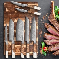 Ensemble de 9 couteaux de cuisine en acier Damas VG10, style japonais, manche en bois de burl et résine