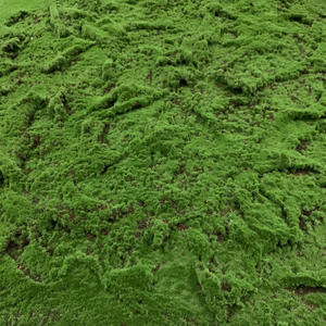 Fabricante Chino Suministra Césped Artificial Ecológico y Duradero, Alfombra <span class=keywords><strong>de</strong></span> Césped Arrugado (Plástico y Algodón) <span class=keywords><strong>para</strong></span> Paisajismo - Product Image 3