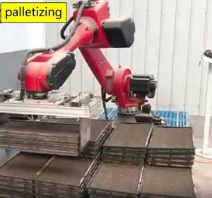 Robot Paletizador BRTIRUS2030A a Precio Económico, Alcance del Brazo de 2058 mm, Capacidad de Carga de 30 kg, IP54, PLC, Caja de Cartón, Motor con Caja de Engranajes - Product Image 6