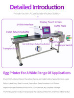 Máquina de Marcado de Huevos de Alta Velocidad, Impresora de Fecha de Inyección de Tinta para Huevos de Gallina y Pato