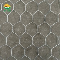 Prix des boîtes de gabion en fil d'acier en alliage d'aluminium et de zinc/construction de gabion/5x1x1m