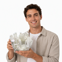 Service d'impression 3D en résine : Personnalisation de modèles photopolymérisables, usinage de matériaux futuristes (Nylon, Métal), Chine. Prise en charge des fichiers STP/STL pour l'automobile.
