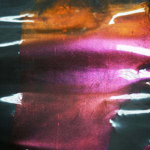 ที่มีคุณภาพสูงกิ้งก่า3d แมวตาผงแม่เหล็ก - Product Image 5