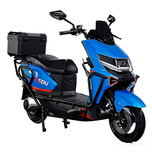 Motociclette Elettriche per Adulti da 750W di Grande Successo con Motore Posteriore da 60V e Batteria Integrata da 15Ah, Tipo Digitale Intelligente e Durevole - Product Image 2