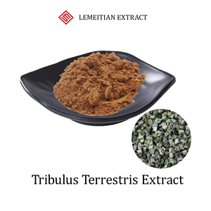 Экстракт Трибулус Террестрис |   Сапонины <span class=keywords><strong>40</strong></span>% - 98% |   Протодиосцин 20% - 98%: Экстракт для повышения жизненной силы и производительности, настраиваемый оптовый заказ - Product Image 1
