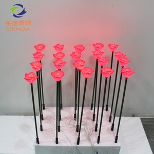 OFERTA ESPECIAL Luces LED de Alta Luminosidad Acrílicas IP65 12V Románticas para Navidad, Bodas, Jardín Exterior, Rosas, Tulipanes, CRI90, 50000 Horas - Product Image 4
