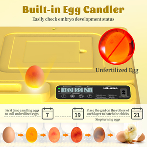 เครื่องฟักไข่อัตโนมัติ WONEGG HHD พร้อมไฟ LED ตรวจสอบไข่ ระบบไฟคู่ ขนาด 30 ฟอง พร้อมเครื่องตรวจไข่ - Product Image 5