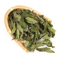 Vente en gros de feuilles de menthe verte entières, menthe verte séchée, menthe verte biologique séchée, thé aux feuilles de menthe verte, nouvelle récolte