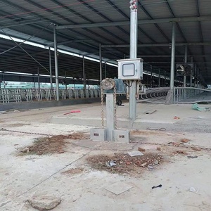 Hệ Thống Làm Sạch Phân Tự Động Máy Cạo Phân Cho Trang Trại - Product Image 6