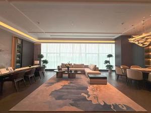 Alfombra de Pared a Pared de Moqueta para Decoración de Hoteles de Lujo Taiyi, Tejida en Nailon, con Estampado Digital, para <span class=keywords><strong>Casino</strong></span>, Teatro - Product Image 2