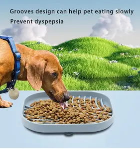 Yeni tasarım gıda sınıfı silikon plaka yuvarlak bulmaca kase yavaş yeme plaka gökkuşağı yavaş köpek besleyici