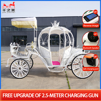 Buggy de mariage électrique d'inspiration royale victorienne Transport spécial pour les participants et les invités royaux