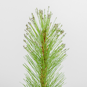 Co-Arts 30 pouces Faux Craft PE Pin Aiguilles Arbre de Noël avec pot en métal rouge - Product Image 5