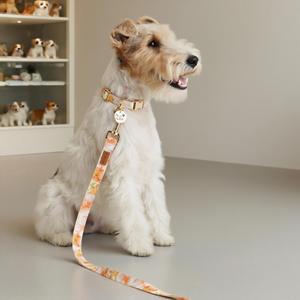 Collier pour chien personnalisé taille S, élégant, moderne, luxueux, réglable, en coton doux, durable, respirant, confortable, motif imprimé - Product Image 2