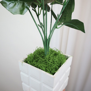 Mini-jardin paysager artificiel DIY, plantes en mousse légères pour la décoration de la maison et du bureau - Product Image 4