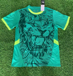 Camiseta <span class=keywords><strong>de</strong></span> Fútbol Personalizada <span class=keywords><strong>de</strong></span> Senegal 2025 2026, Versión Original Profesional, Hecha a Medida, Camiseta <span class=keywords><strong>de</strong></span> Jugador, Camiseta <span class=keywords><strong>de</strong></span> Campeón - Product Image 3