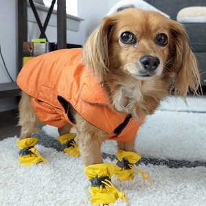 Hundes chuhe für Hot Pavemen Anti-Rutsch-Sohle Hundes tiefel und Pfoten schutz - Product Image 5