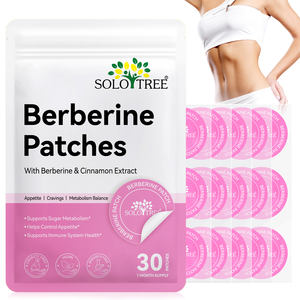 Patchs Transdermiques de Berbérine Minceur Végétaliens Naturels en Marque Blanche OEM 30 Unités pour la Perte de Poids et le Soutien Immunitaire et Métabolique - Product Image 1